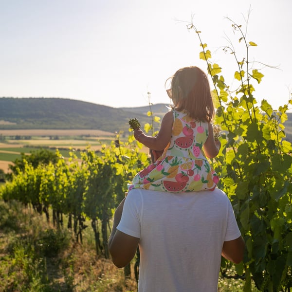 Gilberries Wines - Gilberries Wines