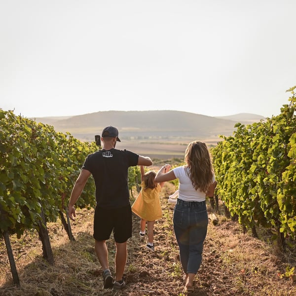 Gilberries Wines - Gilberries Wines