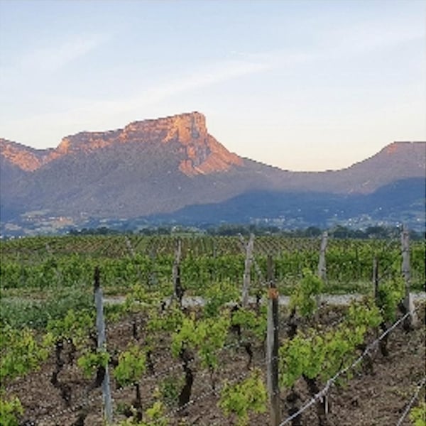 Domaine Partagé Gilles Berlioz - Gilles Berlioz