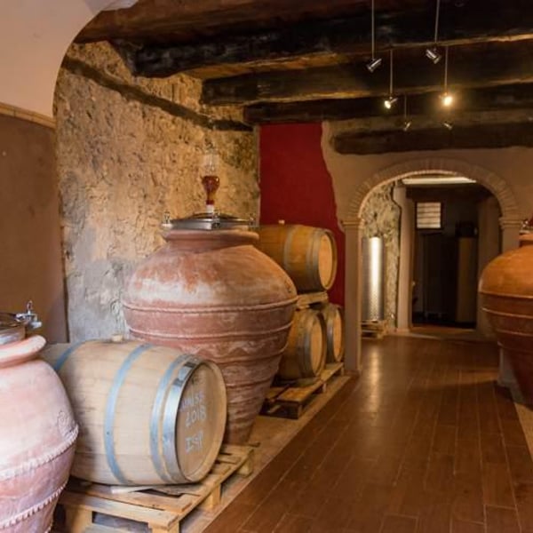 Azienda Agricola Maradei - Gina Bavasso