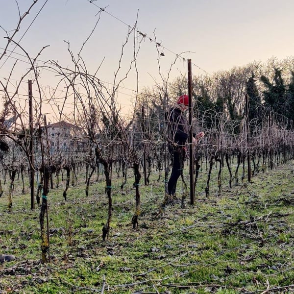 Cantina la Bacheta - Giorgia Quintarelli, Simone Gradizzi