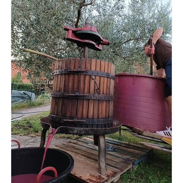 Cantina la Bacheta - Giorgia Quintarelli, Simone Gradizzi