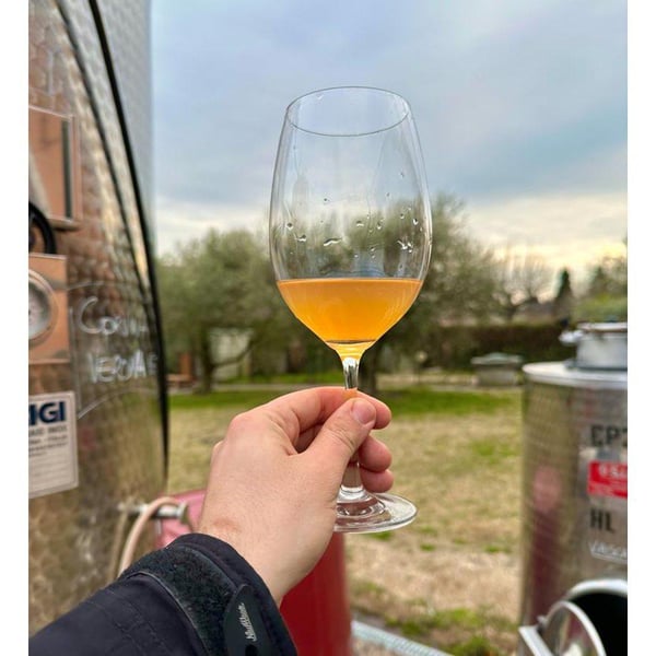 Cantina la Bacheta - Giorgia Quintarelli, Simone Gradizzi