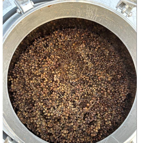 Cantina la Bacheta - Giorgia Quintarelli, Simone Gradizzi