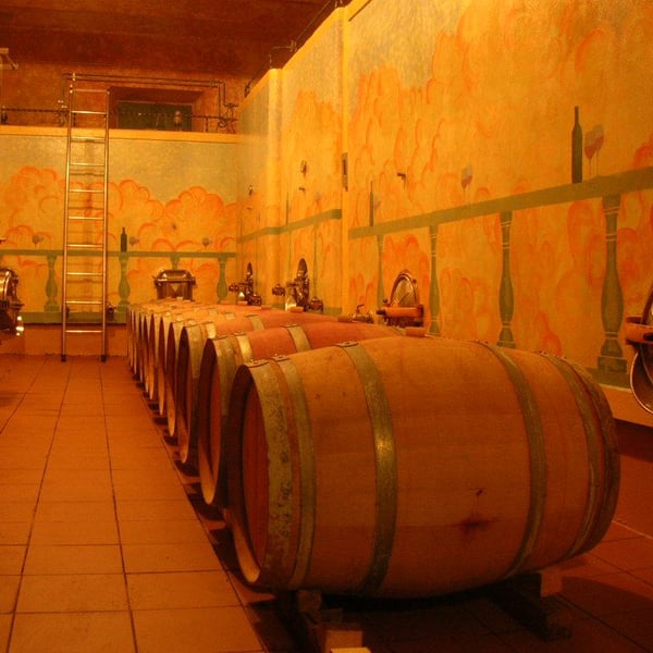 Azienda Agricola Pian del Pino - Giovanni Batacchi