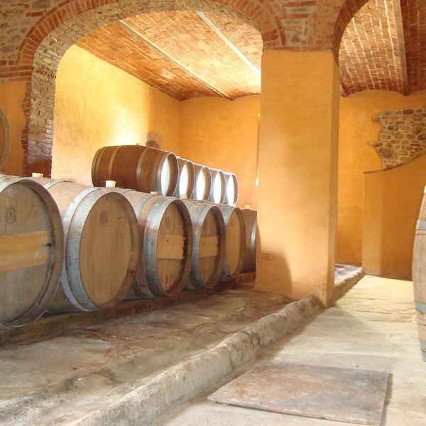 Azienda Agricola Pian del Pino - Giovanni Batacchi