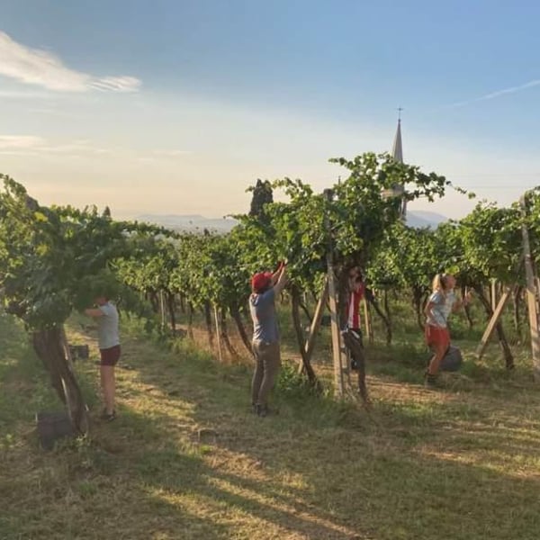 Fora Wines - Giovanni Bottazzi, Simone Fanton