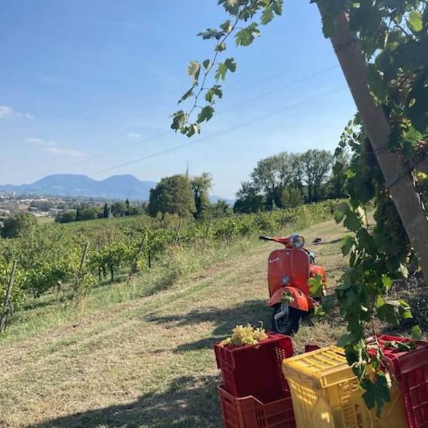 Fora Wines - Giovanni Bottazzi, Simone Fanton
