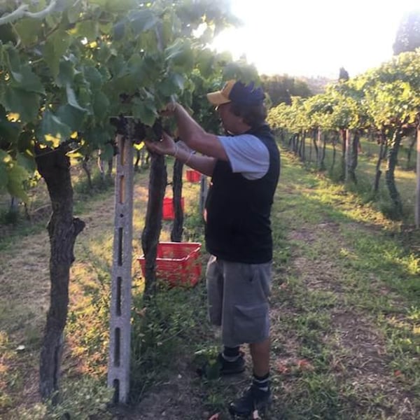 Fora Wines - Giovanni Bottazzi, Simone Fanton