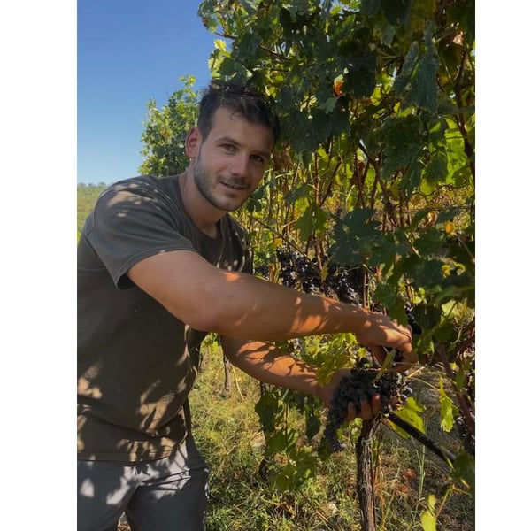 Agricola Montenigo - Giovanni Roncari