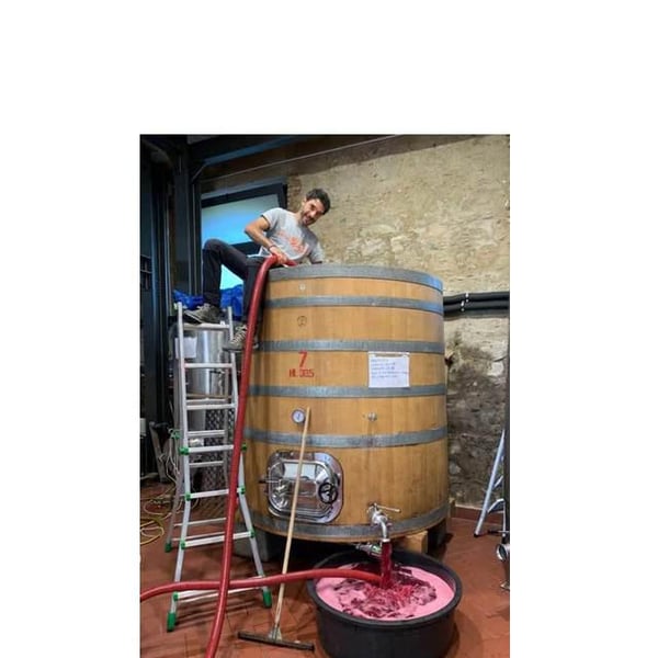 Azienda Agricola Bonavita - Giovanni Scarfone