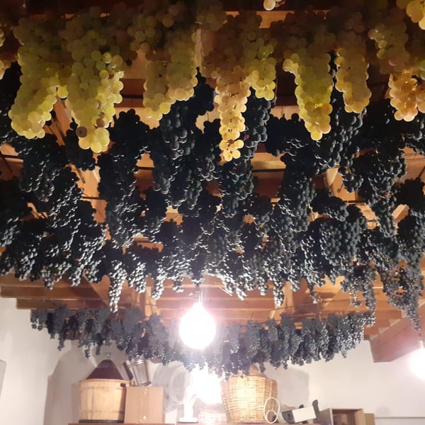 Cantina Antonioli - Giulia & Giorgio Antonioli