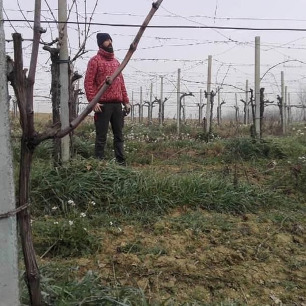 Lumiluna Casa Vinicola - Giulio Rinaldi & Luca Bigicchia
