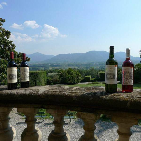 Fabbrica di San Martino - Giuseppe Ferrua