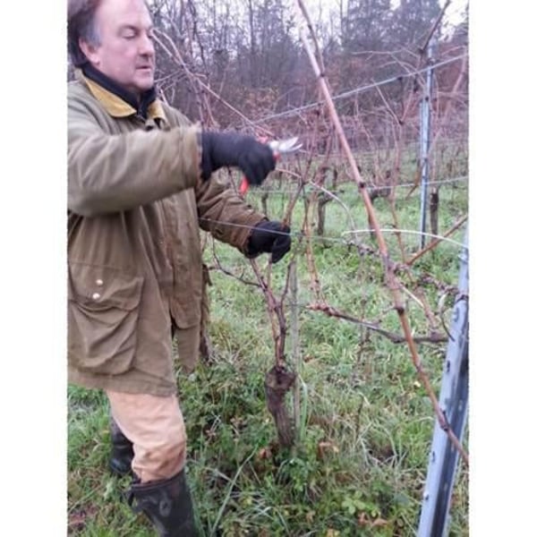 Fabbrica di San Martino - Giuseppe Ferrua