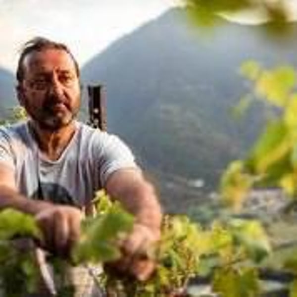 Azienda Agricola Boffalora - Giuseppe Guglielmo