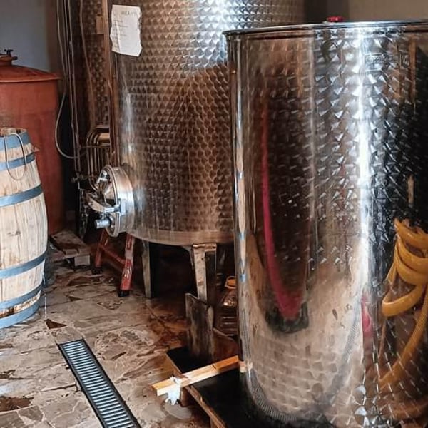 Tre.Mi.La. Etna wines - Gloria Di Paola