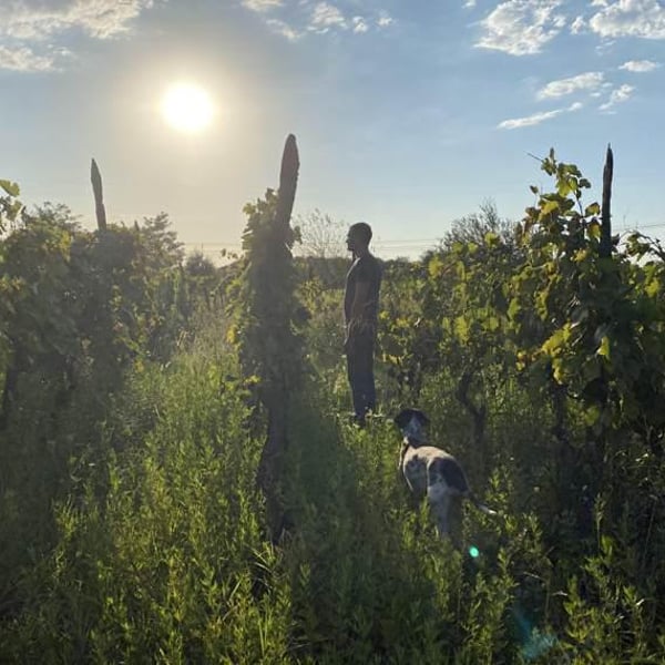 Makaridze Winery - Gogita & Keto Makaridze