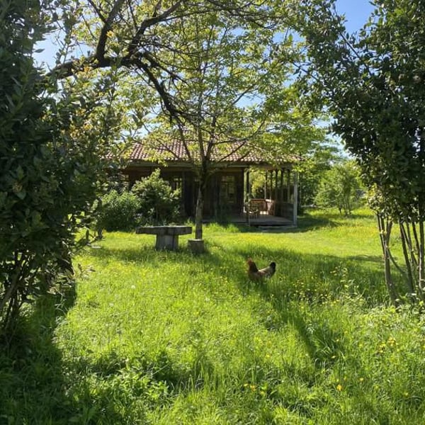 Makaridze Winery - Gogita & Keto Makaridze