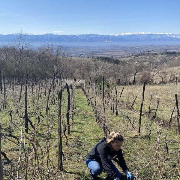Makaridze Winery - Gogita & Keto Makaridze