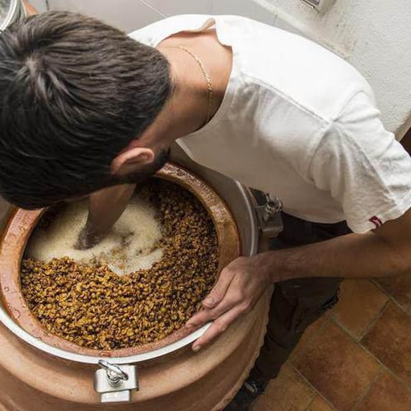 Azienda Vitivinicola Tère Rüse - Gregorio