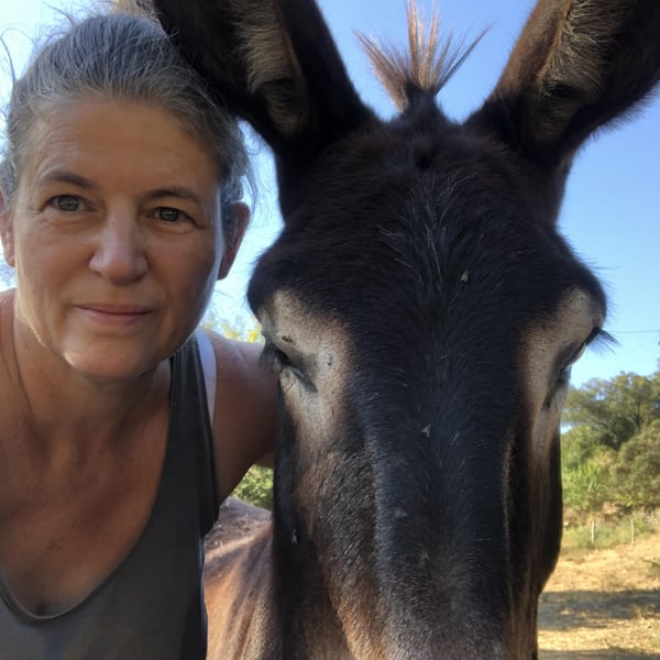 Guido & Melanie Hube