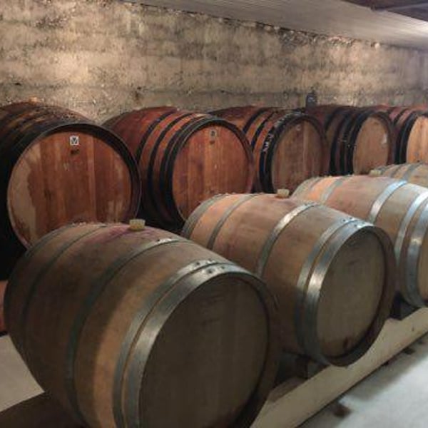 Les Vignes de Chatiou - Guillaume Caty