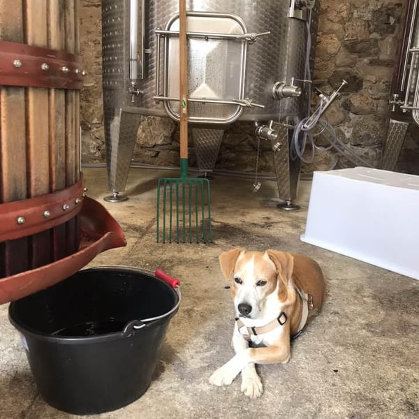 Clos des B - Gwendolyn Berger