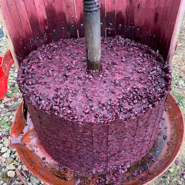 Clos des B - Gwendolyn Berger