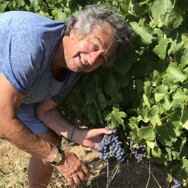 Clos des B - Gwendolyn Berger