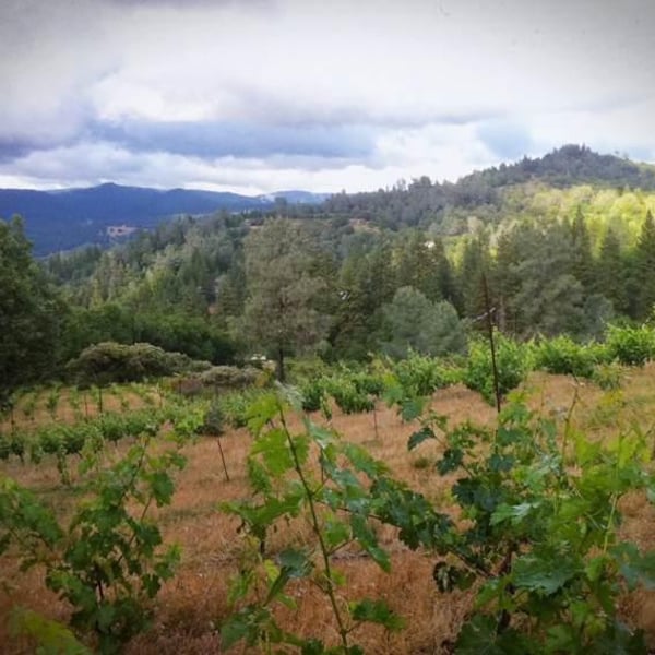 La Clarine Farm - Hank Beckmeyer