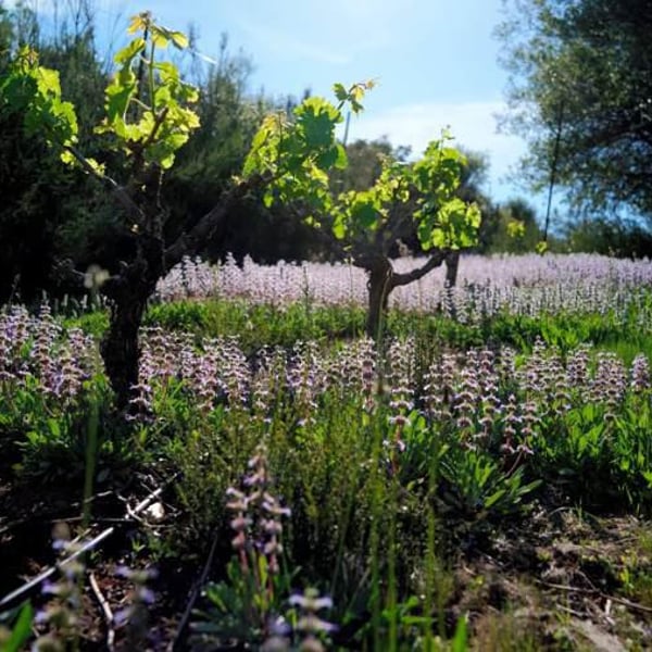 La Clarine Farm - Hank Beckmeyer