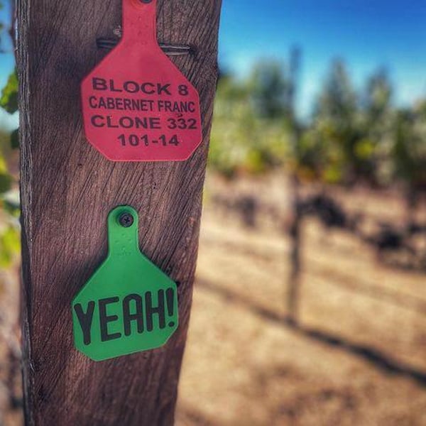 Extradimensional Wine Co. Yeah! - Hardy Wallace & Kate Graham
