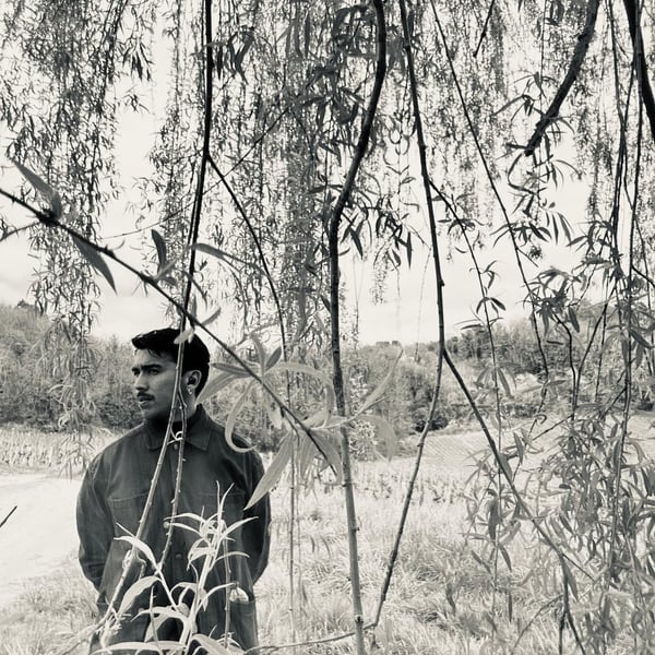 Harjane - Haroon Rahimi