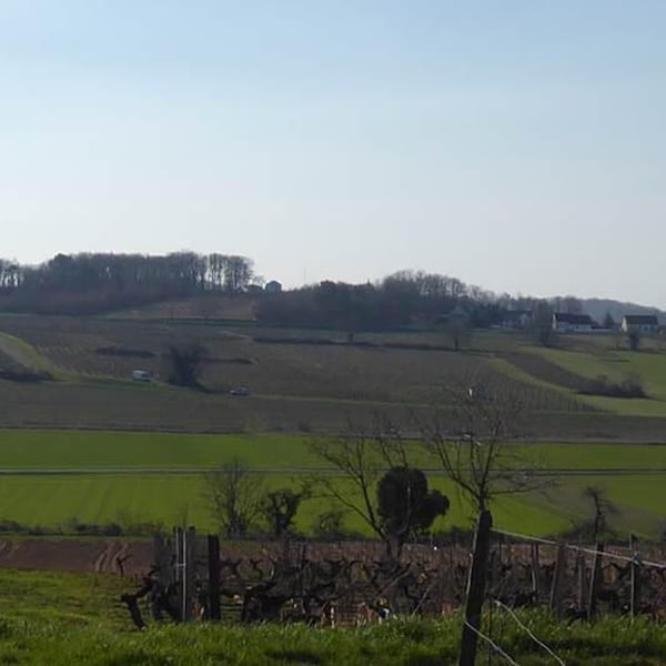 Domaine Des Frères - Marie et Valentin Bruneau