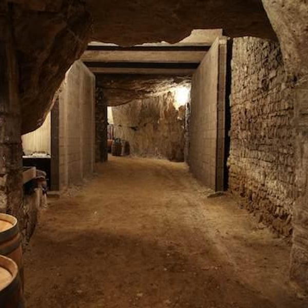 Domaine Des Frères - Marie et Valentin Bruneau