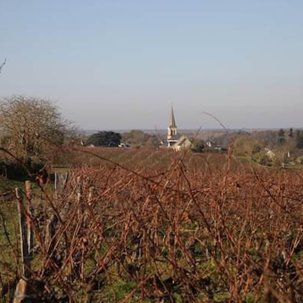 Domaine Des Frères - Marie et Valentin Bruneau
