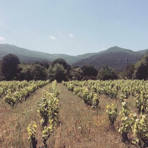 Domaine Eole - Hervé Bessiere