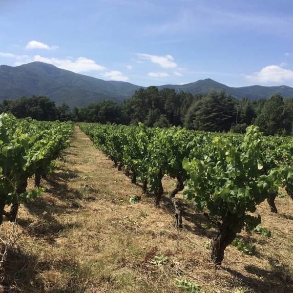 Domaine Eole - Hervé Bessiere