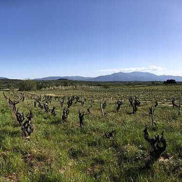 Domaine Eole - Hervé Bessiere