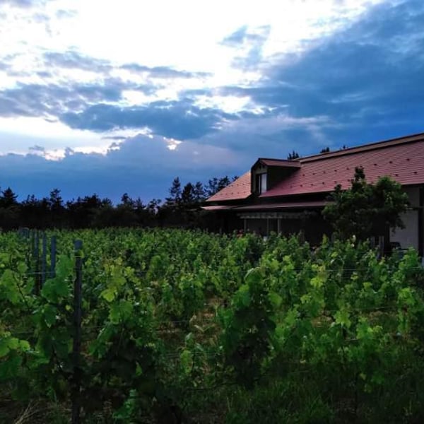 Domaine Chaud - Hideo Kobayashi