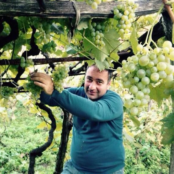 Pantsulaia’s family Cellar - Murman Pantsulaia
