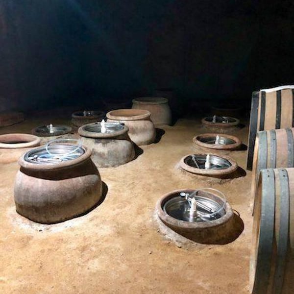 Fazenda Agricola Augalevada - Iago Garrido
