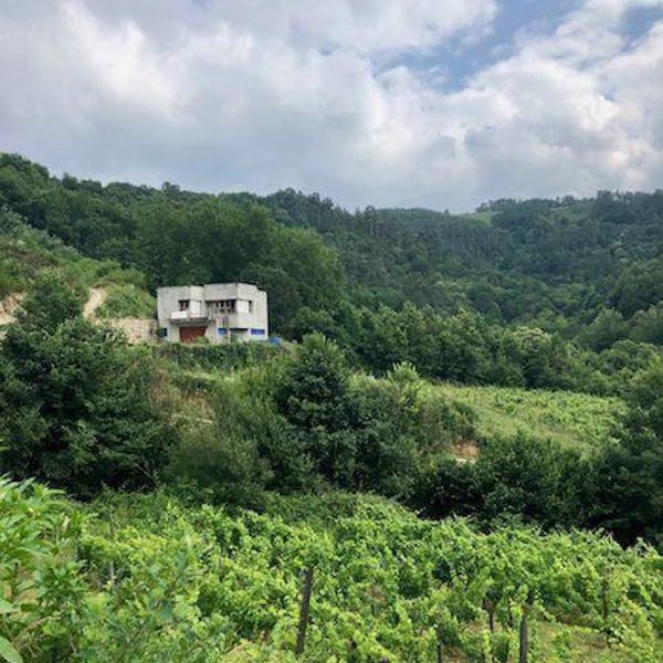 Fazenda Agricola Augalevada - Iago Garrido