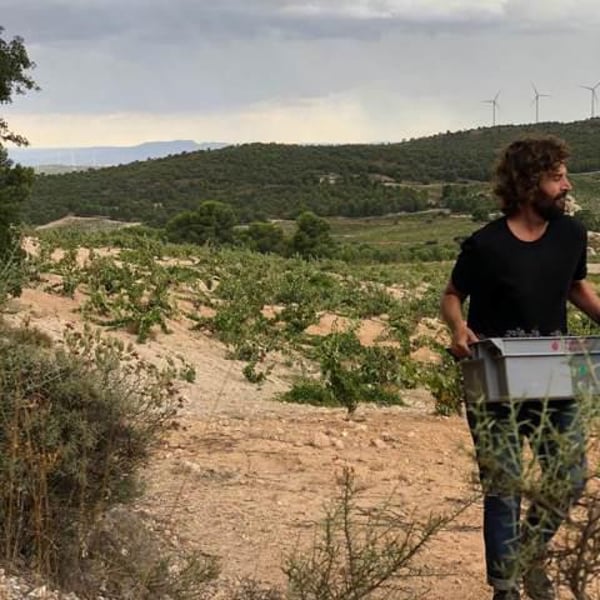 Panduro Vinos Murcia - Ibon Apezteguia & Henrik Falk