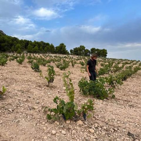 Panduro Vinos Murcia - Ibon Apezteguia & Henrik Falk