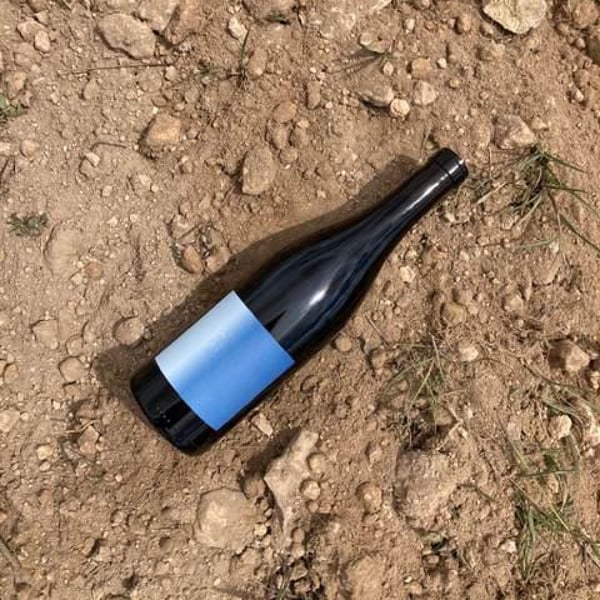 Panduro Vinos Murcia - Ibon Apezteguia & Henrik Falk