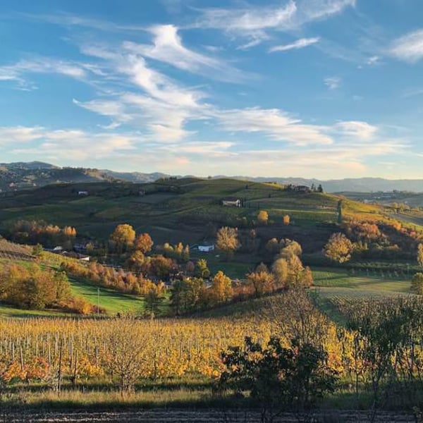 VIV Winery - Ilaria Squillari