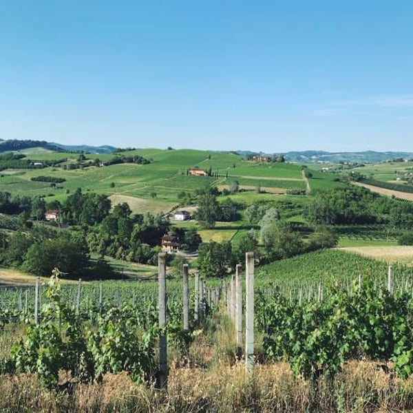 VIV Winery - Ilaria Squillari