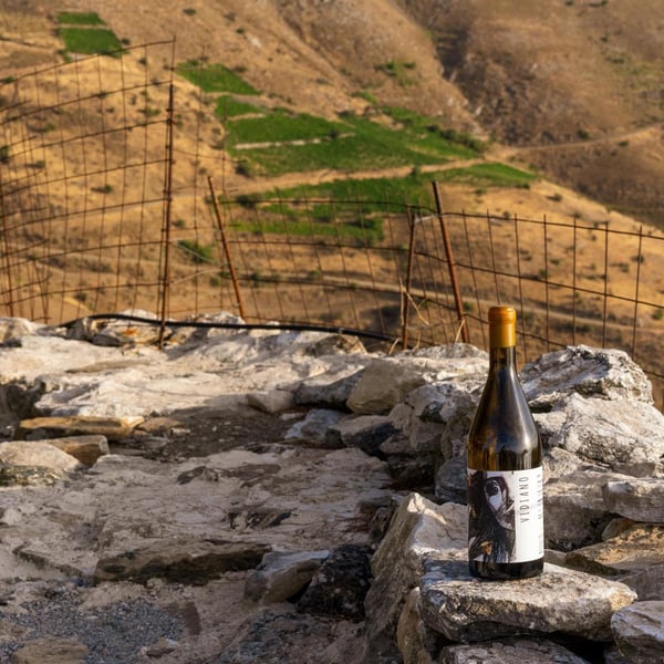 Iliana Malihin Winery - Iliana Malihin